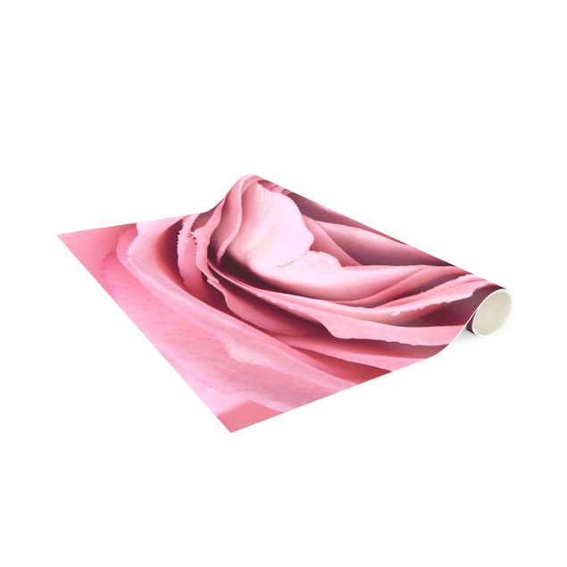 Tappeti floreali moderni Fiore di rosa rosa