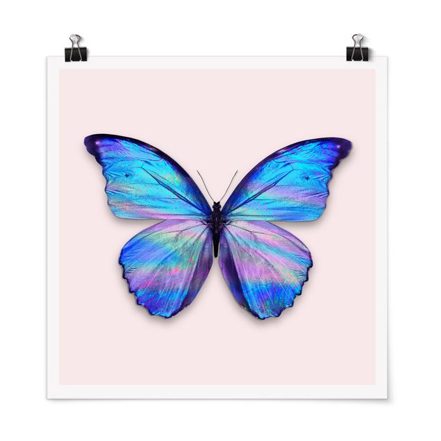 Poster - Holographic farfalla - Quadrato 1:1