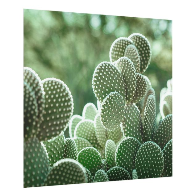 Paraschizzi in vetro - Cactus - Quadrato 1:1