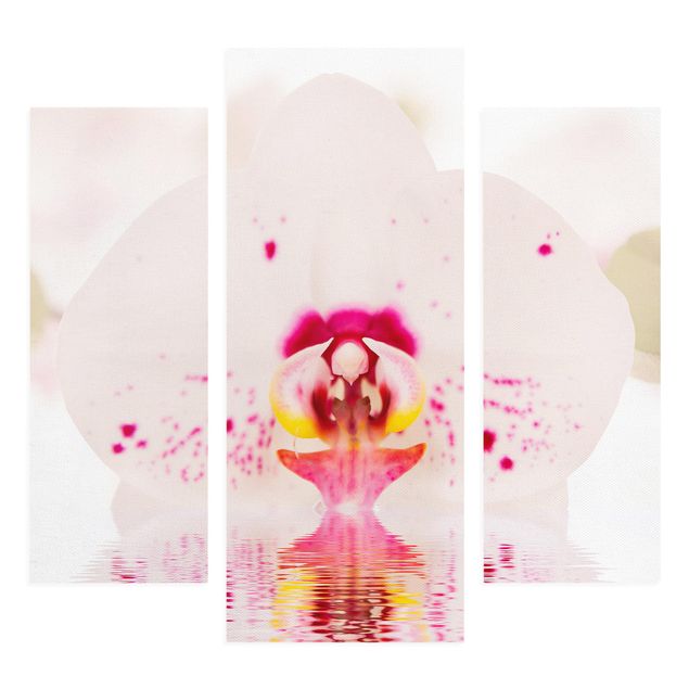 Stampa su tela 3 parti - Dotted Orchid On Water - Trittico da galleria
