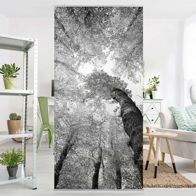 Tenda a pannello Trees of Life II 250x120cm