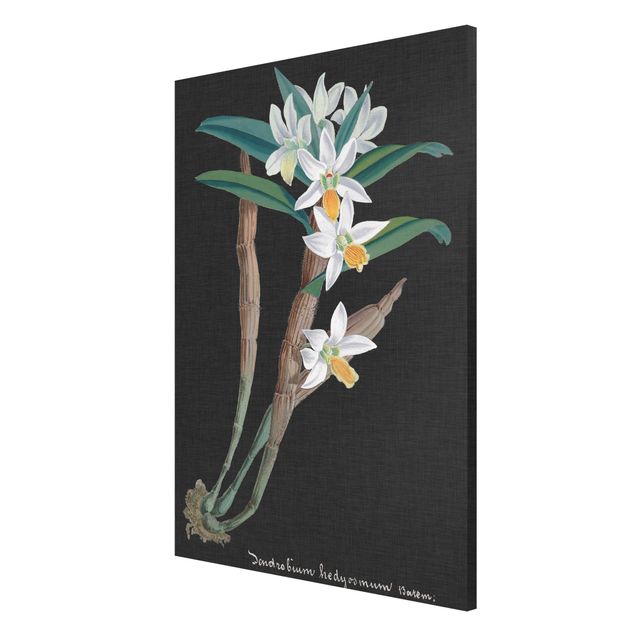 Lavagna magnetica - White Orchid su tela di canapa I - Formato verticale 2:3