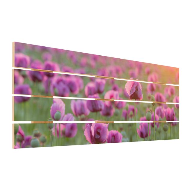 Stampa su legno - Viola di papavero Fiore prato in primavera - Orizzontale 2:5