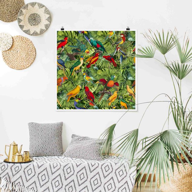 Poster illustrazioni Collage colorato - Pappagalli nella giungla