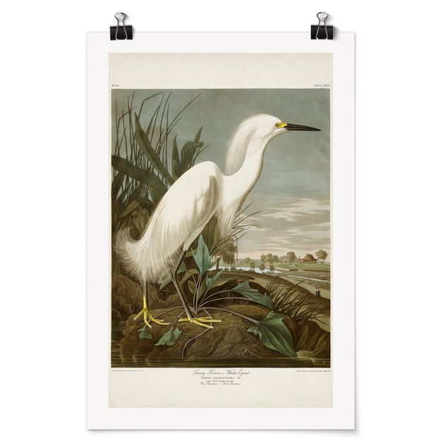 Poster - Consiglio Vintage White Heron I - Verticale 3:2