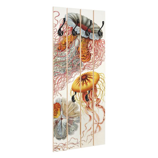 Appendiabiti in legno - Vintage Consiglio Jellyfish - Ganci cromati - Verticale
