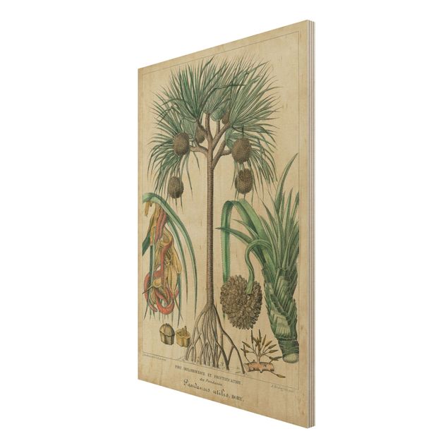 Stampa su legno - Consiglio Vintage Exotic Palms I - Verticale 3:2