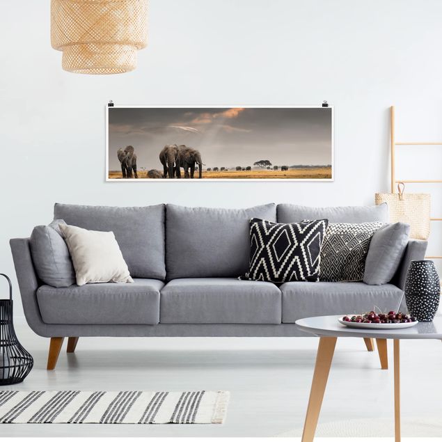 Poster - Elephant Savanna - Panorama formato orizzontale