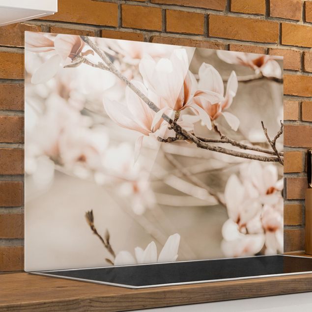 paraschizzi cucina vetro magnetico Ramoscello di magnolia in stile vintage