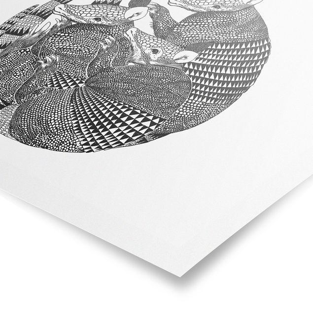 Poster - Illustrazione del modello Armadillos Bianco e nero - Orizzontale 3:4