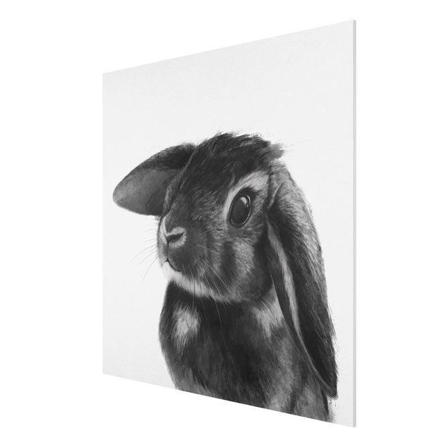 Stampa su Forex - Illustrazione Coniglio bianco e nero Disegno - Quadrato 1:1