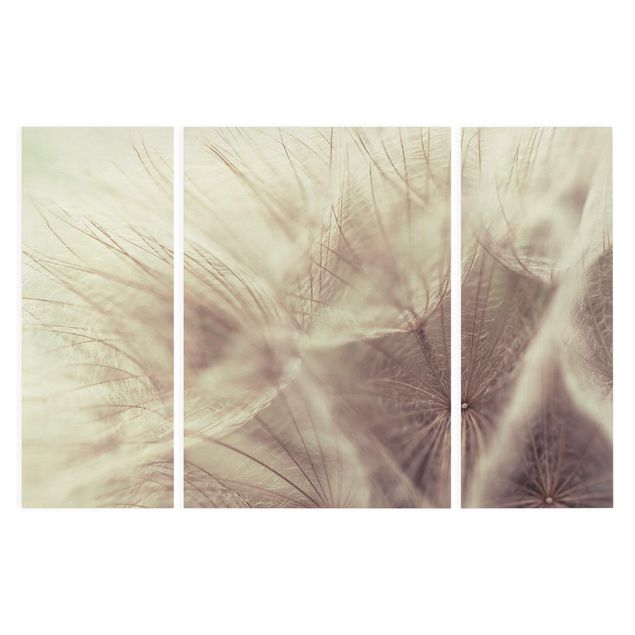 Stampa su tela 3 parti - Detailed And Dandelion Macro Shot With Vintage Blur Effect - Trittico