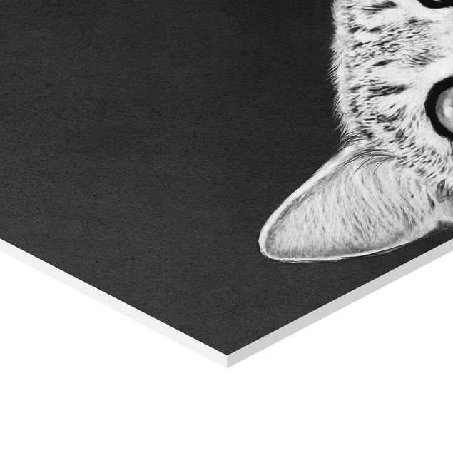 Esagono in forex - Illustrazione Gatto Bianco e nero Disegno