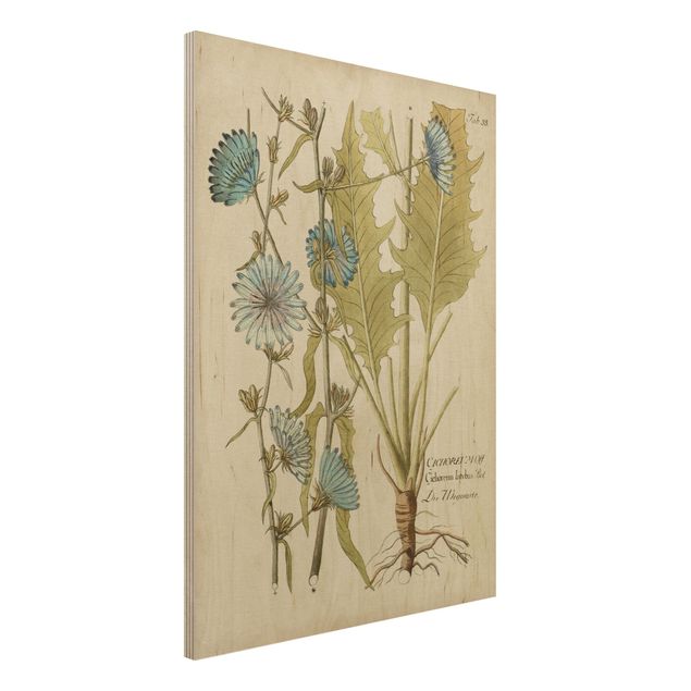 Stampa su legno - Vintage Botanica In Blue Cicoria - Verticale 4:3