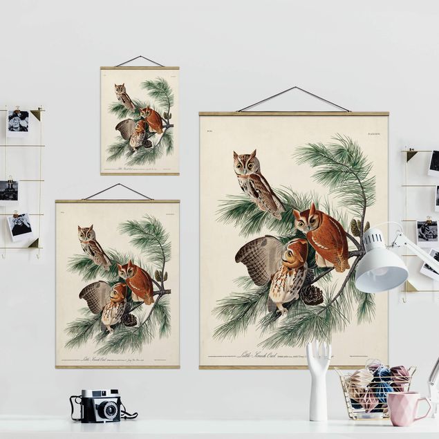 Foto su tessuto da parete con bastone - Vintage Consiglio Screech Owl - Verticale 4:3