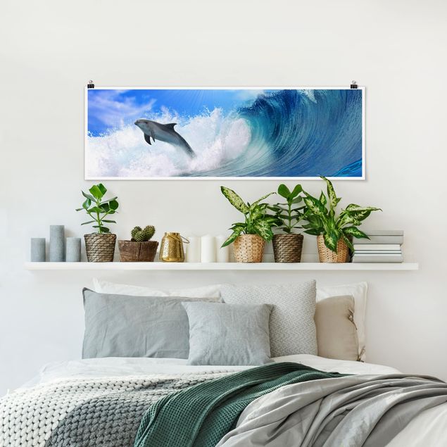 Poster - delfini che giocano - Panorama formato orizzontale