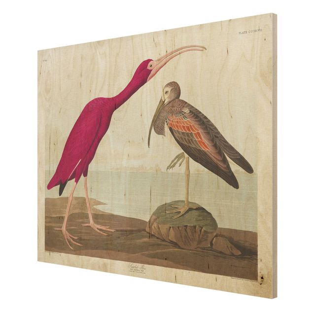Stampa su legno - Vintage Consiglio Rosso Ibis - Orizzontale 3:4
