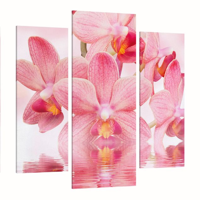 Stampe su tela Orchidea rosa chiaro sull'acqua