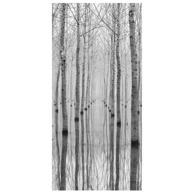 Tenda a pannello - Birches in November - 250x120cm