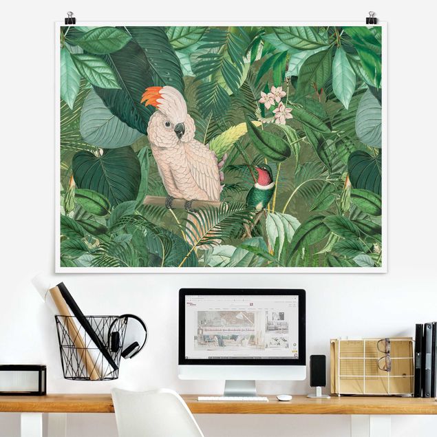 Quadri animali Collage vintage - Cacatua e colibrì