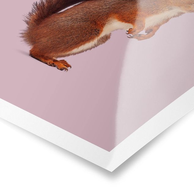 Poster - scoiattoli - Verticale 4:3