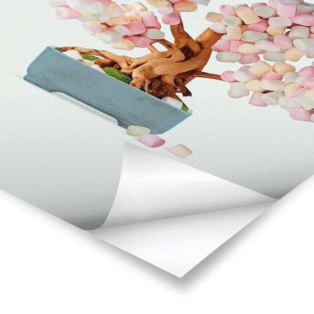 Poster - Bonsai con marshmallow - Verticale 3:2