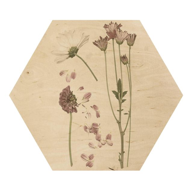Esagono in legno - Herbarium In Pink II