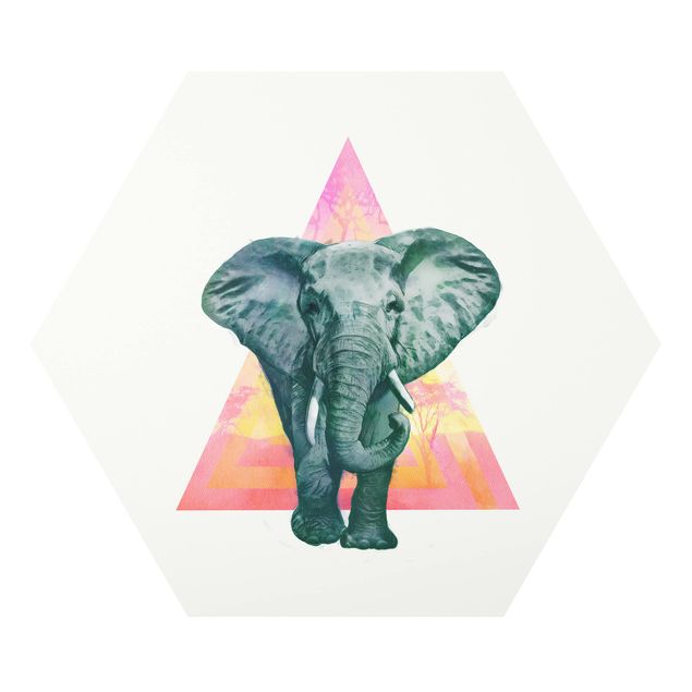 Esagono in forex - Illustrazione Elephant anteriore Triangolo Pittura