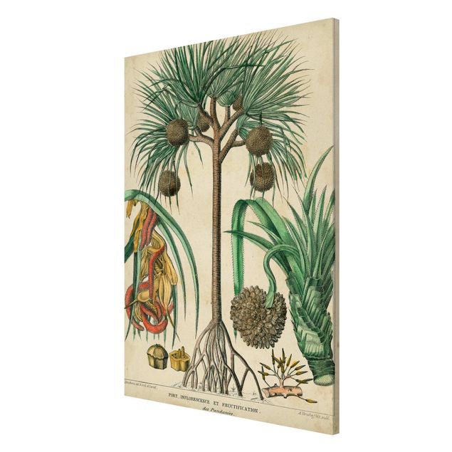 Lavagna magnetica - Consiglio Vintage Exotic Palms I - Formato verticale 2:3