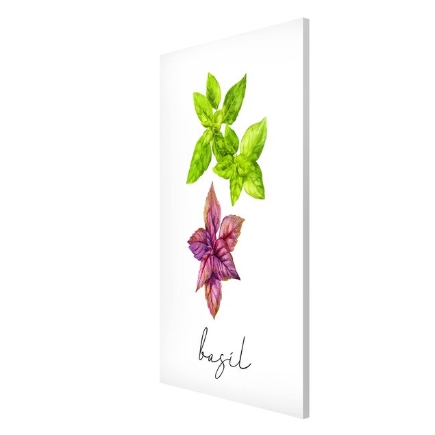 Lavagna magnetica - Illustrazione di erbe aromatiche basilico