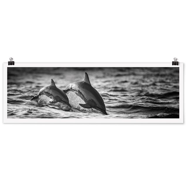 Poster - Due delfini che saltano - Panorama formato orizzontale
