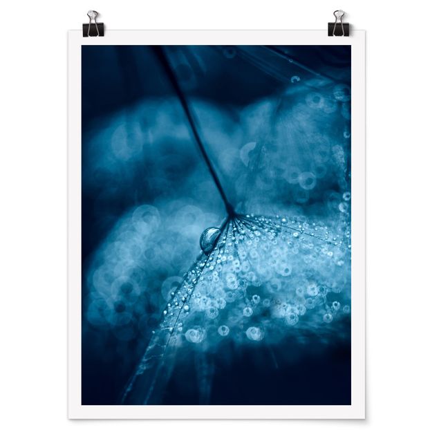 Poster - Blu Dandelion In The Rain - Verticale 4:3