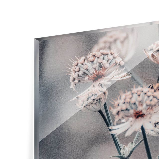 Paraschizzi in vetro - Mistico cespuglio di fiori - Panorama 5:2