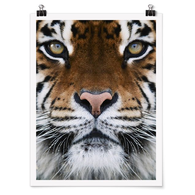 Poster - Tiger Eyes - Verticale 4:3