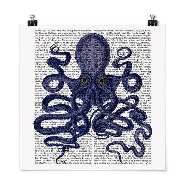 Poster - Animal Reading - Octopus - Quadrato 1:1