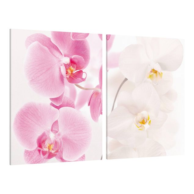 Stampe su tela Orchidee delicate