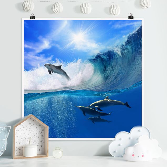 Poster - delfini che giocano - Quadrato 1:1
