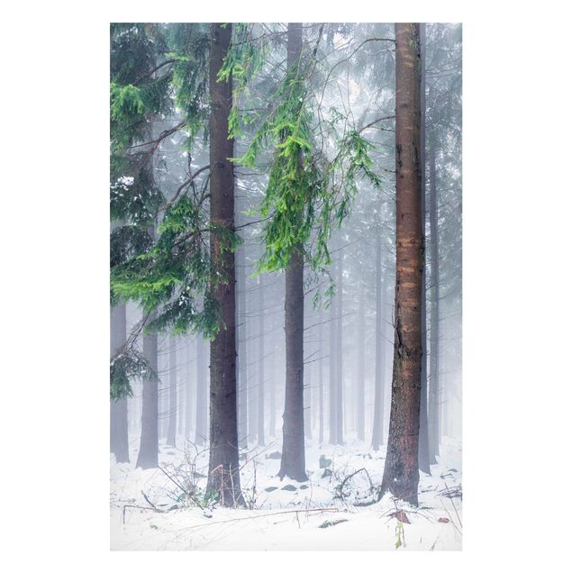 Lavagna magnetica - Conifere d'inverno