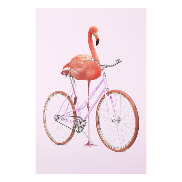 Stampa su Forex - Flamingo con la bicicletta - Verticale 3:2