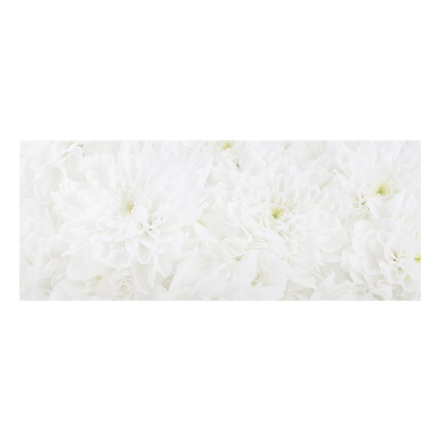 Paraschizzi in vetro - Dahlias Sea Of Flowers White