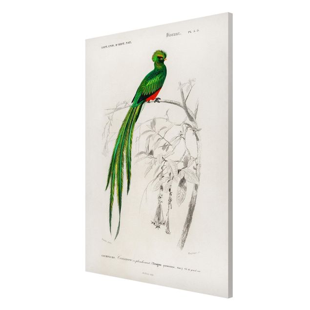 Lavagna magnetica - Consiglio d'epoca Tropical Bird I - Formato verticale 2:3