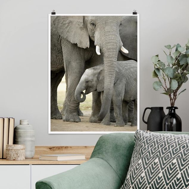 quadri con animali Elefante e amore