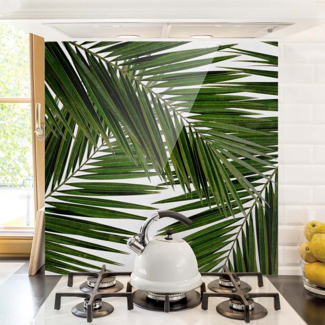paraschizzi cucina vetro magnetico Vista attraverso le foglie di palma verde