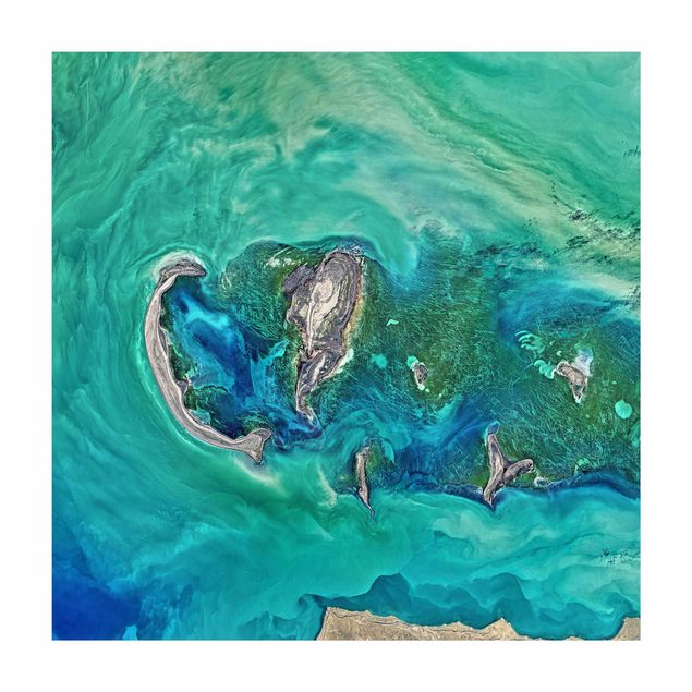 Tappeto bagno turchese Immagine NASA Mar Caspio