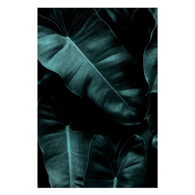 Lavagna magnetica - Foglie della giungla verde scuro