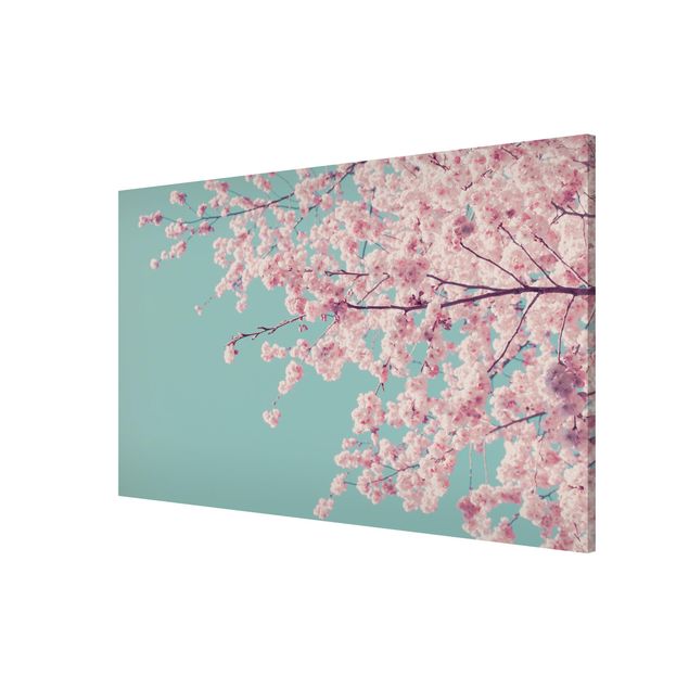 Lavagna magnetica - Fiore di ciliegio giapponese