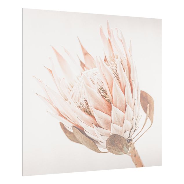 Paraschizzi in vetro - Protea regina dei fiori - Quadrato 1:1