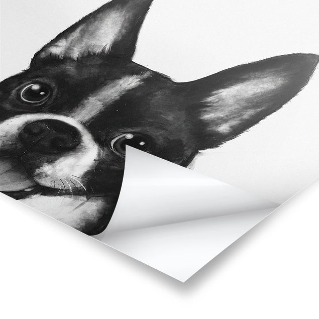 Poster - Illustrazione Dog Boston Monochrome Pittura - Quadrato 1:1