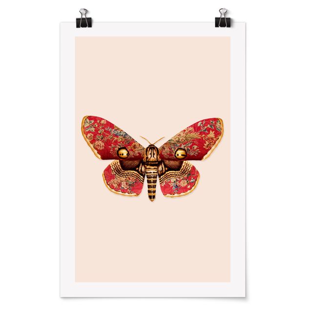 Poster - Vintage Moth - Verticale 3:2