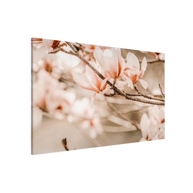 Lavagna magnetica per ufficio Ramoscello di magnolia in stile vintage